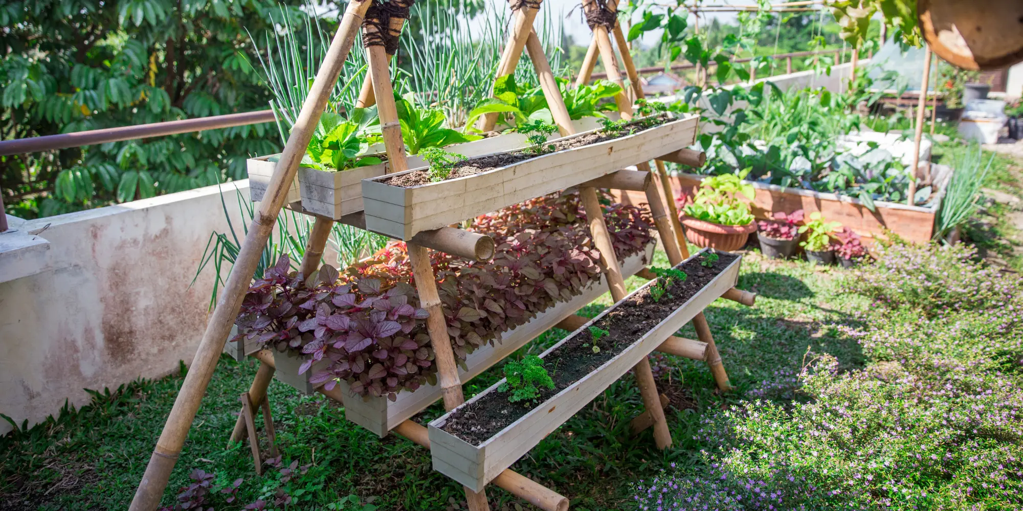 Geleceğin Konut Trendi: Akıllı ve Sağlıklı Evler