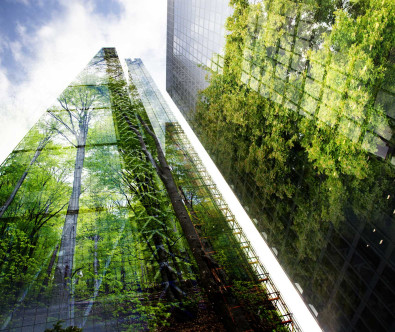 Sürdürülebilir Gayrimenkul Yatırımı: Geleceğin İnşası